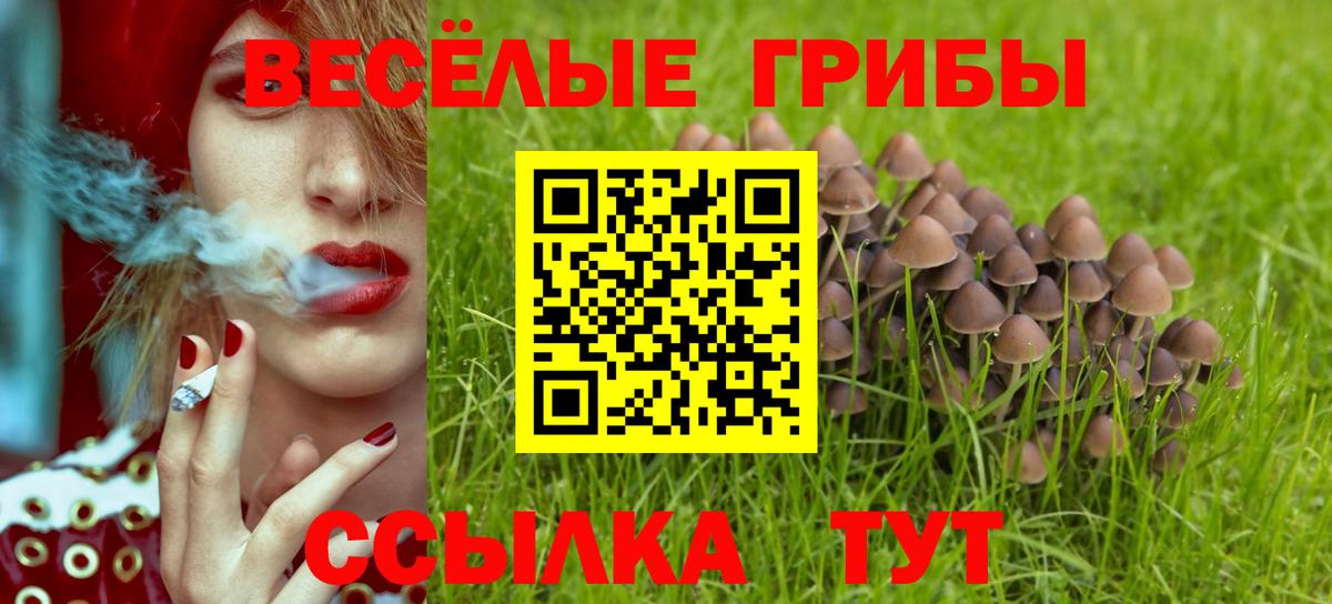 Галлюциногенные грибы Psilocybe  Вход с VPN  Алексин 
